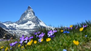 Matterhorn_Alpen_Alm