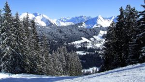 winter_wald_ski-gebiet_morzine